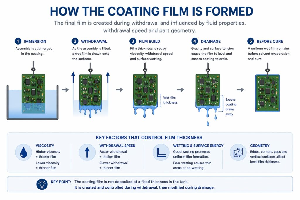 Dip coating film formation showing wet film created during withdrawal and influenced by viscosity, withdrawal speed and drainage